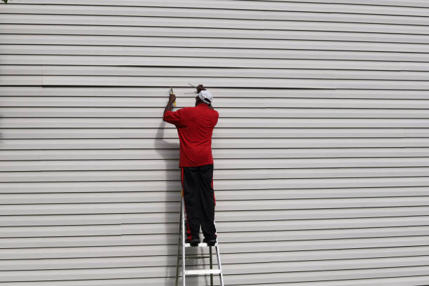 Professional Siding Installation & Repair in Waynesboro, VA