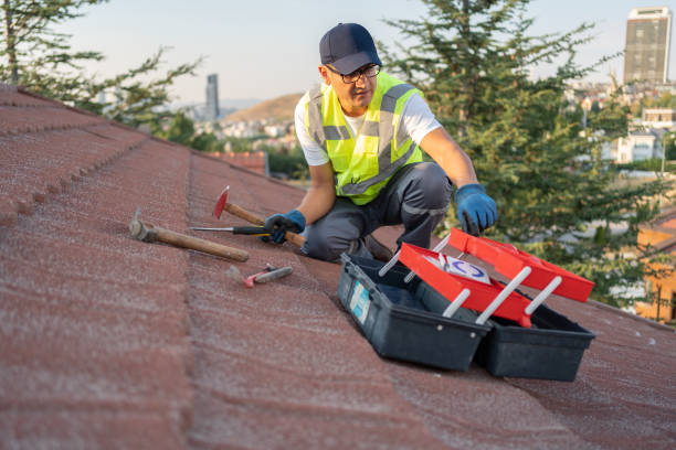 Best Fiber Cement Siding Installation  in Waynesboro, VA